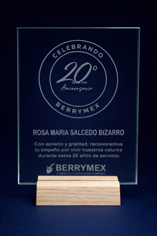 RECTANGULO VIDRIO NACIONAL